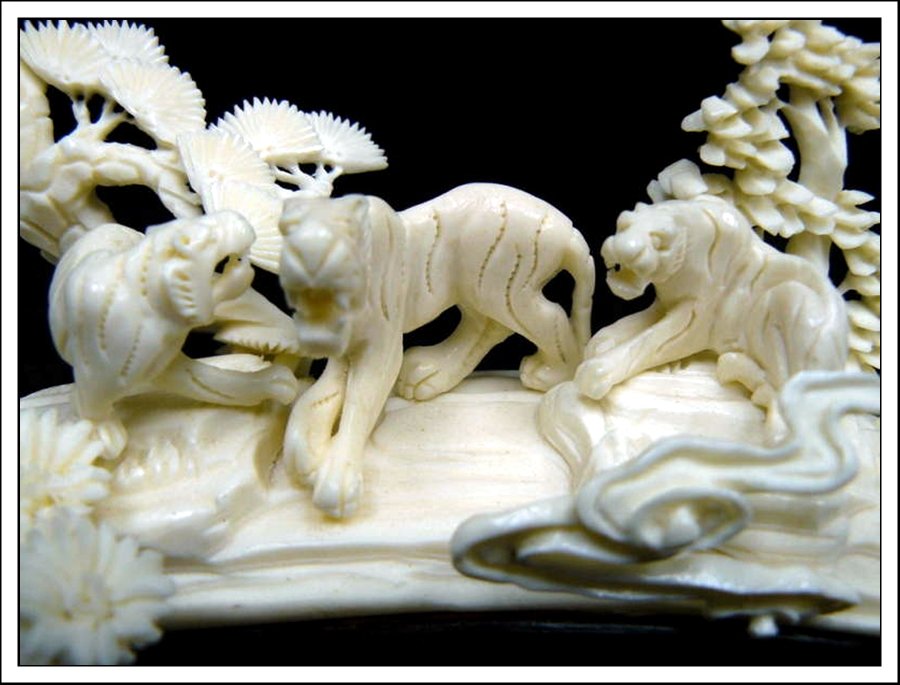 BONE TIGERS BRIDGE - 2