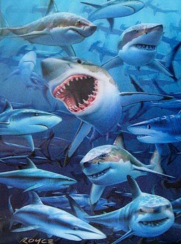SHARKS JAWS AMAZING LENTICULAR 3-D HOLOGRAM ART: This Is A 3-D Lenticular Hologram Art Picture Of Sharks By Royce. This Picture Can Not Capture The Spectacular 3-D Effect Of These. It Pops Right Out At You And There Is So Much Depth. This Piece Was