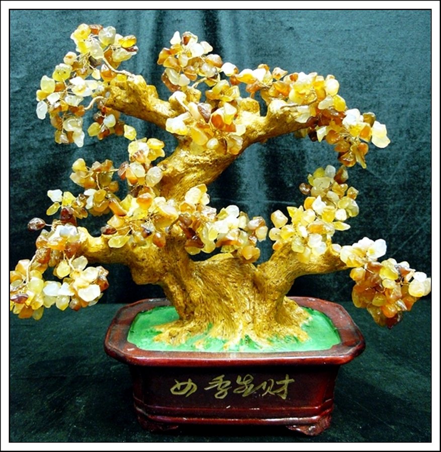 AGATE TREE