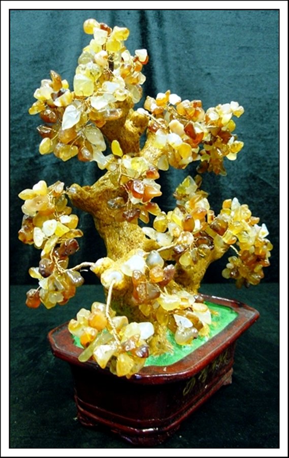 AGATE TREE - 2