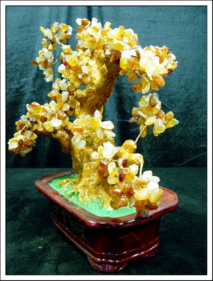 AGATE TREE - 3