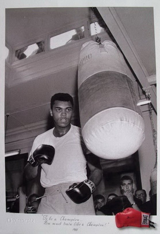 BOXER MUHAMMED ALI TO BE A CHAMPION MIRRORPIX LTD: Limited Edition Muhammed Ali Giclee Photograph Titled "To Be A Champion". This Picture Was Taken Of Cassius Clay, Later To Be Know As Muhammad Ali Using A Punching Bag In Training August 1966. The Cap