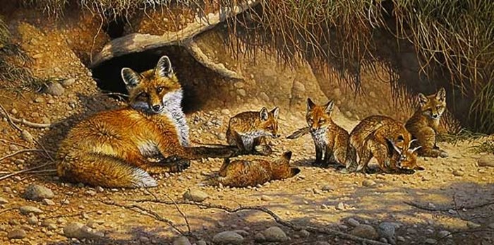 BONNIE MARRIS - SPRING FEVER: Bonnie Marris - Spring Fever - Limited Edition Print Image Size: 28"W X 14"H. Edition Size:1000 - Published From The Artist'S Original Work - This Is A Red Fox Family With A Golf Ball In The Foregroun