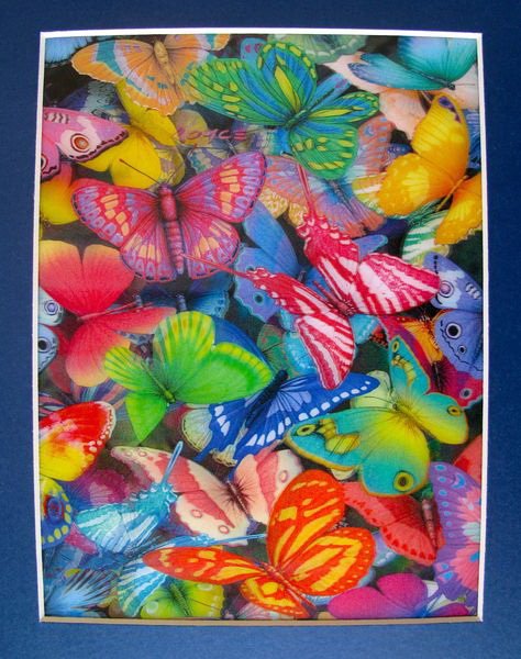 BUTTERFLIES AMAZING LENTICULAR 3-D HOLOGRAM ART PIC: This Is A 3-D Lenticular Hologram Art Picture Of Butterflies By Royce. This Picture Can Not Capture The Spectacular 3-D Effect Of These. It Pops Right Out At You And There Is So Much Depth. This Piece