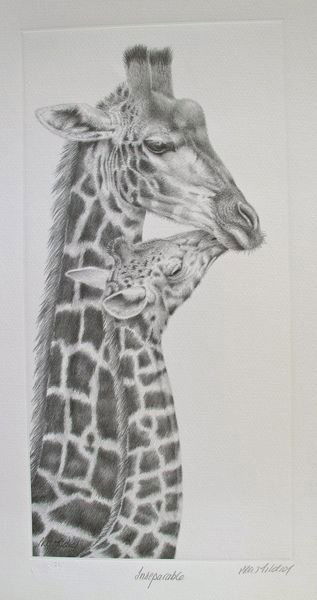 PETER HILDICK INSEPARABLE HAND SIGNED LIMITED ED: Limited Edition Hand Signed Etching By Peter Hildick Titled "Inseparable". Medium: Etching On Paper [Signed And Numbered By The Artist]. This Piece Is Numbered From An Edition Size Of 95. Paper Measur