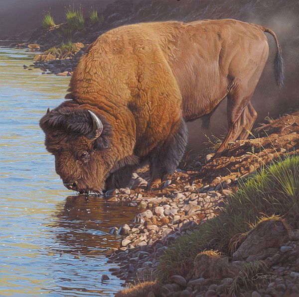 DANIEL SMITH - LAMAR LIBATIONS: Lamar Libations - Daniel Smith - Limited Edition Print - Image Size: - "lamar Libations" Was Unveiled At The 2011 Prix De West Invitational Art Exhibition And Sale At The National Cowboy & Western Her