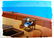 673V: DISNEY DONALD DUCK ORIGINAL HAND PAINTED PRODUCTI