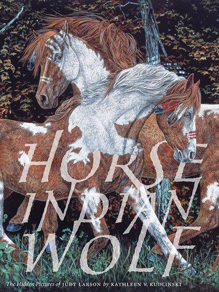 JUDY LARSON HORSE INDIAN WOLF: Judy Larson Horse Indian Wolf Tradebook Image Size: 9"W X 12"H. Winner Of The Ippy Bronze In The Illustrated Children’S Books For All Ages Category. The "Ippy" Awards, Launched In 1996, Are Designed