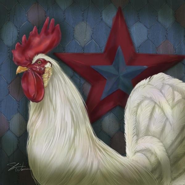 SHARI WARREN - RED STAR ROOSTER - Giclée on Canvas: SHARI WARREN - RED STAR ROOSTER - Giclée on Canvas 36 x 36 in.