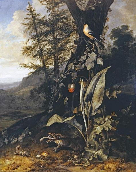 MATTHIAS WITHOOS - FOREST FLOOR WITH A TOAD AND A: MATTHIAS WITHOOS - FOREST FLOOR WITH A TOAD AND A LIZARD - Giclée on Canvas 28 1/2 x 36 in. - A Giclée Print Is The Highest Quality Print Available Today. Because There Is No Visible Dot Screen Patt
