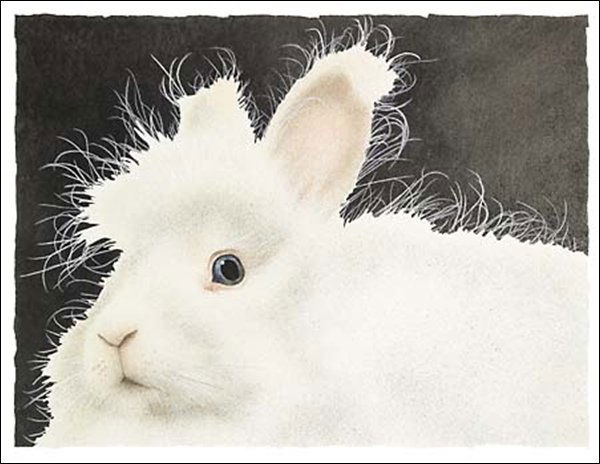 HAND SIGNED - WILL BULLAS - MR. HARRY BUNS...: Mr. Harry Buns... - By Will Bullas - Hand Signed - Limited Edition Print - Image Size: 10 1/8"w X 7 5/8"h. Edition Size:450