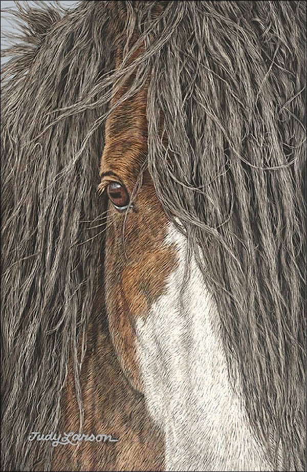 HAND SIGNED - JUDY LARSON - FEARLESS: Fearless - By Judy Larson - Hand Signed - Canvas - Edition Image Size: 6"w X 9"h. Edition Size:75