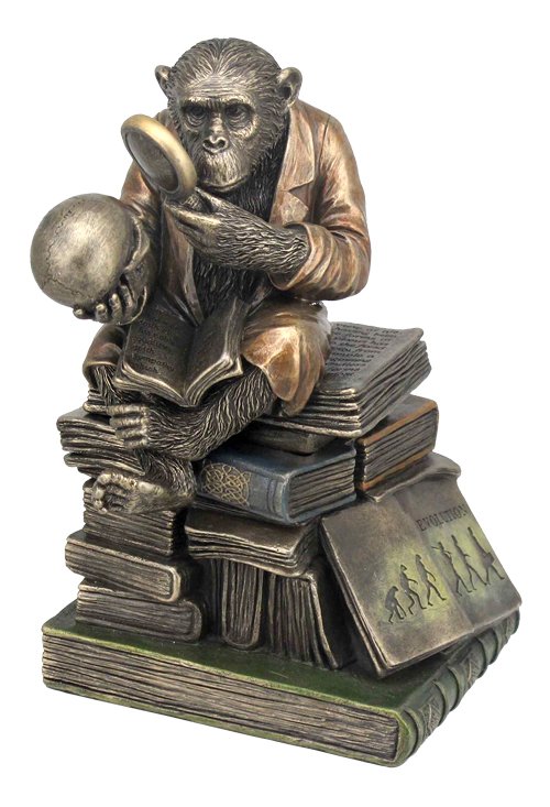 CHIMPANZEE SCHOLAR TRINKET BOX - BRONZE: Chimpanzee Scholar Trinket Box - Material - Bronze - Size - 6 7/8