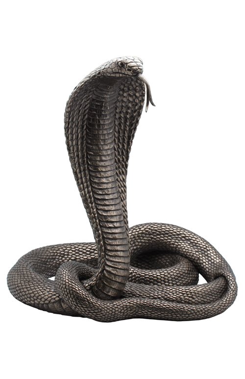 KING COBRA - BRONZE: King Cobra - Material - Cold Cast Bronze - Size - 13