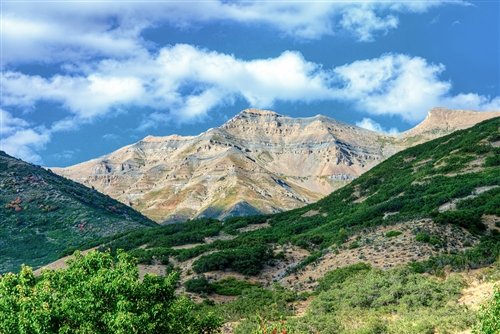 LOOKING OUT THE FRONT DOOR OREM UT: LOOKING OUT THE FRONT DOOR OREM UT - Sean Mcgrath Is A Professional Photographer. Giclee on Canvas
