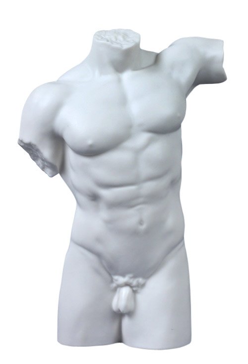 NUDE-MALE TORSO: Nude-male Torso-063 - Material - Fine Porcelain - Size - 8 1/2