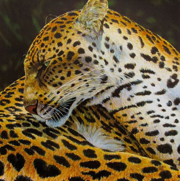 CHARLES LYNN BRAGG LEOPARD HAND SIGNED LIMITED ED.: Charles Lynn Bragg Limited Edition Hand Signed Giclee On Canvas Titled "Leopard". Medium: Giclee On Canvas [hand Signed And Numbered By The Artist] This Piece Is Numbered 12/100. Canvas Image Size: 20