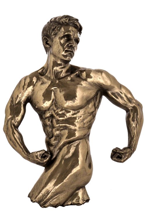 NUDE MALE - BRONZE: Nude Male - Wall Plaque - Material - Cold Cast Bronze - Size - 11