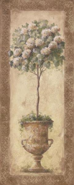 SYLVAN LAKE COLLECTIONS - FLORAL TOPIARY I: Sylvan Lake Collections - Floral Topiary I - 8 X 20 In. - Gallery Stretched The Piece Of Art Is Ready To Hang Or Lean Against A Wall, Or Display On An Easel. - A Giclée Print Is The Highest Quality P