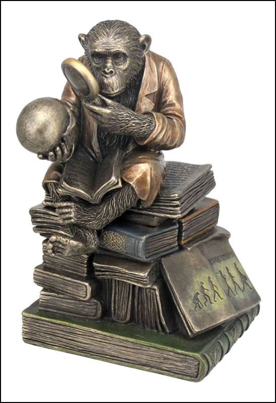 CHIMPANZEE SCHOLAR TRINKET BOX - BRONZE: Chimpanzee Scholar Trinket Box - Material - Cold Cast Bronze - Size - 6 7/8