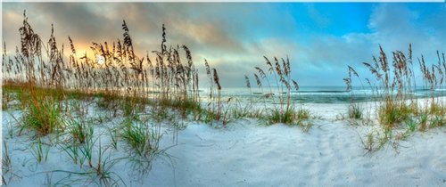 DOUG CAVANAH __BEACHGRASS: Beachgrass - Doug Cavanah Is A Professional Photographer. Giclee On Canvas
