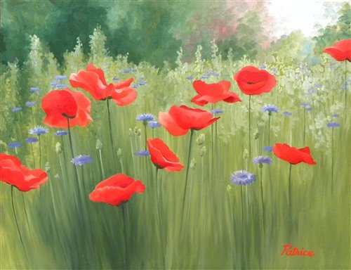 PATRICE PROCOPIO__BACKYARD POPPIES 9X12: Backyard Poppies 9x12 - "backyard Poppies" Is A Floral Canvas Giclee By Patrice Procopio. This Canvas Is Gallery Wrapped . Giclee On Canvas The Canvas Actually Wraps Around The Edges Of The Frame, Giv