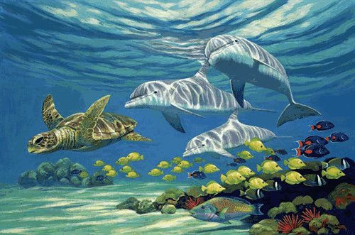 MICHAEL HOFFMAN__REEF FLAT OPEN EDITION PRINT: Reef Flat Open Edition Print - Reef Flat Is A Underwater Life Canvas Giclee By Michael Hoffman.