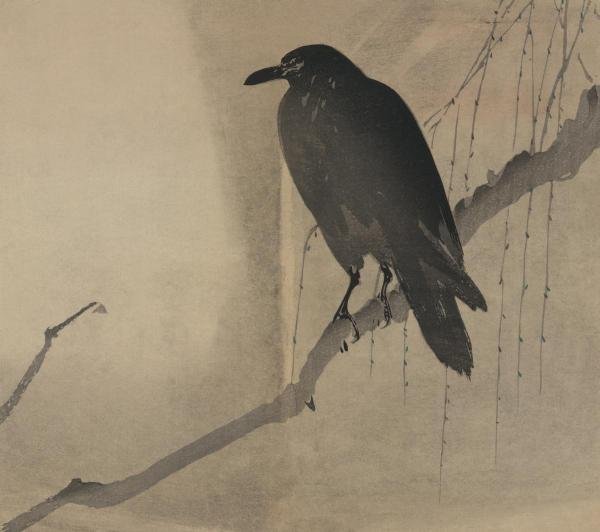 UNKNOWN - CROW ON A WILLOW BRANCH, 1875: Unknown - Crow On A Willow Branch, 1875 - 30 X 20 In. - This Giclée Print Is Gallery Stretched And Ready To Hang Or Lean Against A Wall, Or Display On An Easel. - A Giclée Print Is The Highest Quali