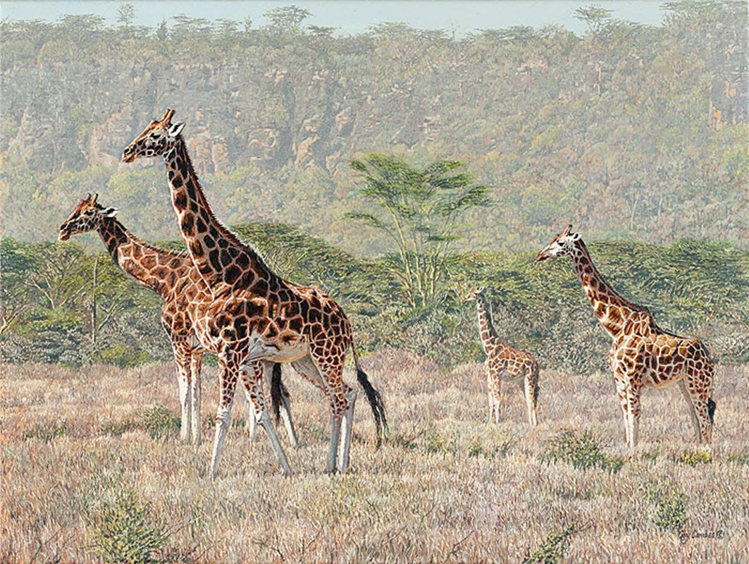 ROTHSCHILD´S REPRISE - GUY COMBES: Rothschild´s Reprise - Guy Combes - Hand Signed - Limited Edition Canvas - Image Size: 24"w X 18"h. Edition Size:45 - Lake Nakuru National Park rests on the floor of Kenya’s Great Rift Valley. Thre