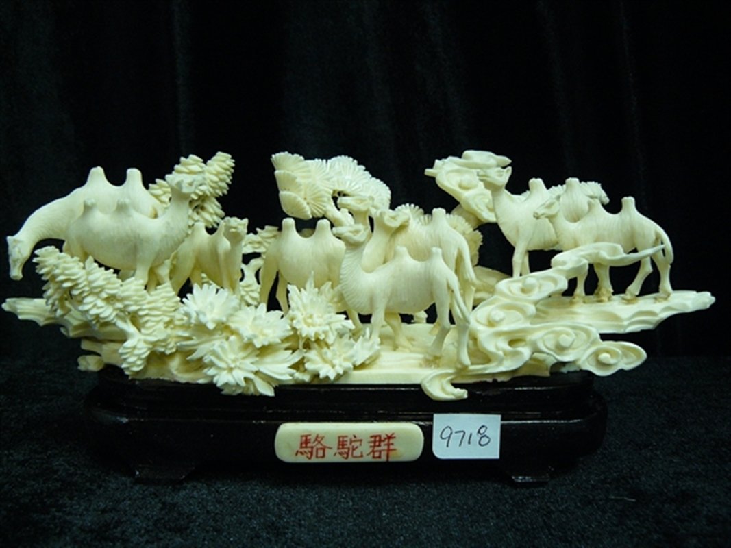 BONE CAMELS JUNGLE: Bone Camels Jungle - Size: Long 8.5", Deep 3", High 3.5" - Size: Long: 8.5", Wide: 3", High: 3.5"