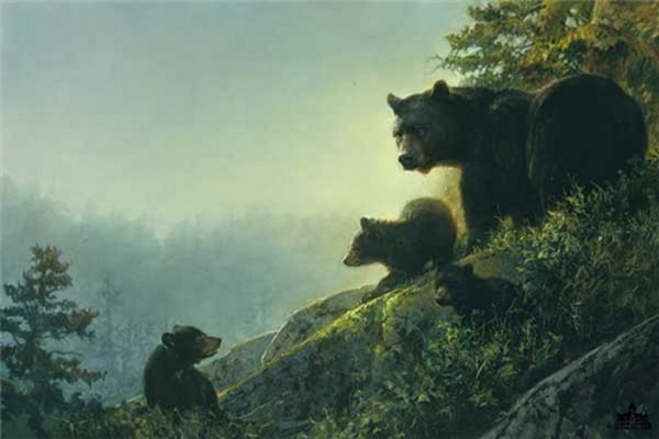 Misty Morn by Nancy Glazier: Misty Morn by Nancy Glazier - Edition Size: Open - Giclee on Canvas, Open Edition Signed Dimensions: 10 x 15 Release Date: 5-2010 ……….Nancy Glazier is passionate about her art and the subject of