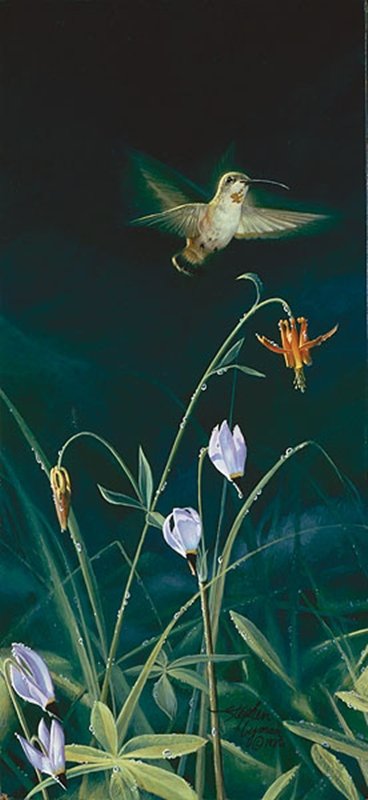 MORNING DEW - STEPHEN LYMAN: Morning Dew - Stephen Lyman - Hand Signed - Canvas - Edition Image Size: 6"w X 13"h. Edition Size:100 - This hummingbird hovers over his next meal - nectar from these dew-covered flowers.