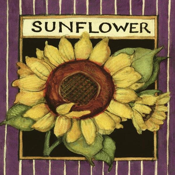SUSAN WINGET - SUNFLOWER SEED PACKET: Susan Winget - Sunflower Seed Packet - 36 X 36 In. - This Giclée Print Is Gallery Stretched And Ready To Hang Or Lean Against A Wall, Or Display On An Easel. - A Giclée Print Is The Highest Quality