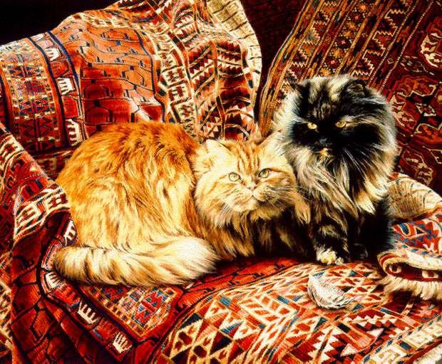 FIVE PERSIANS - JESSICA HOLM: Five Persians - Jessica Holm - Hand Signed - Limited Edition Print - Image Size: 18 1/2"w X 15 1/8"h. Edition Size:550 - "To me, the subtle tones and colours of the superb fur of these two longhair ca