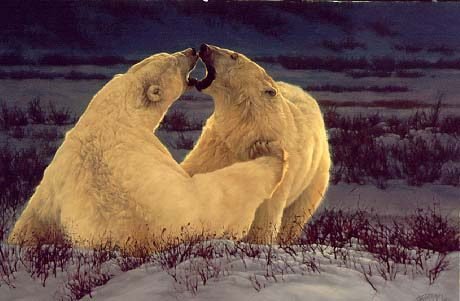 POLAR ATTRACTION - GREG BEECHAM: Polar Attraction - Greg Beecham - Hand Signed - Limited Edition Print - Image Size: 24"w X 16"h. Edition Size:550 - Greg’s artistic approaches are as varied as the wildlife he portrays, so when he t