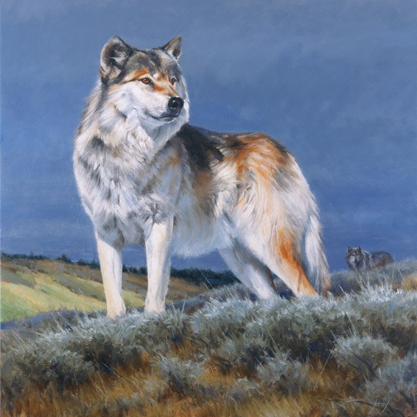 Western Nobleman by Edward Aldrich: Western Nobleman by Edward Aldrich - Edition Size: Open - Giclee on Canvas, Open Edition Signed Dimensions: 12 x 12 Release Date: 11-2012 ……….In the vast wildlife world of Edward Aldrich, the im