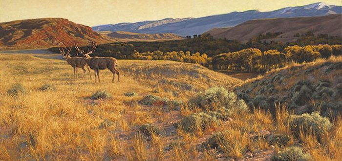 STEP INTO THE LIGHT - GREG BEECHAM: Step Into The Light - Greg Beecham - Hand Signed - Limited Edition Print - Image Size: 33"w X 16"h. Edition Size:550 - Against a breathtaking, panoramic view, two majestic mule deer "Step into the Lig