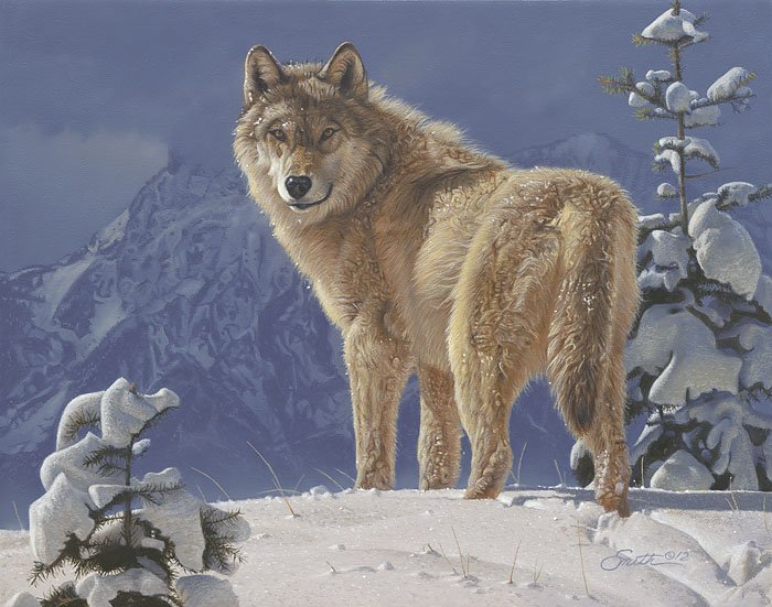 COLD STARE - DANIEL SMITH: Cold Stare - Daniel Smith - Hand Signed - Canvas - Edition Image Size: 14"w X 11"h. Edition Size:75 -