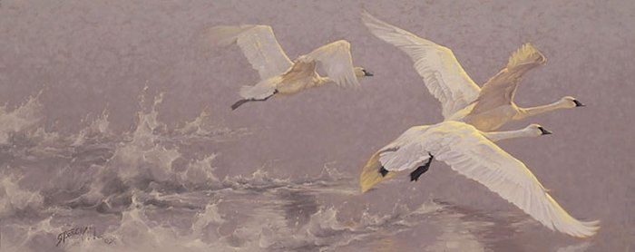 LIFT - GREG BEECHAM: Lift - Greg Beecham - Hand Signed - Limited Edition Print - Image Size: 30"w X 12"h. Edition Size:550 - Beauty takes flight in this graceful work of art by wildlife artist Greg Beecham. I" like to pai