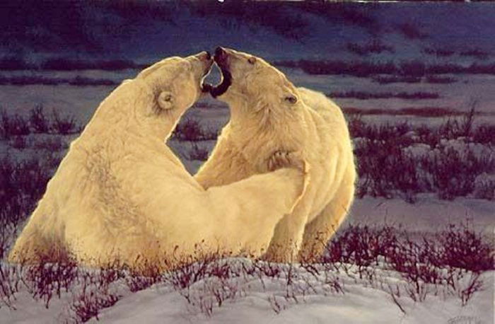 POLAR ATTRACTION - GREG BEECHAM: Polar Attraction - Greg Beecham - Hand Signed - Limited Edition Print - Image Size: 24"w X 16"h. Edition Size:550 - Greg’s artistic approaches are as varied as the wildlife he portrays, so when he t