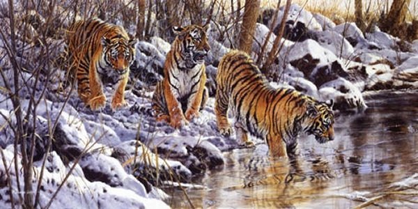 Follow the Leader by Matthew Hillier: Follow the Leader by Matthew Hillier - Edition Size: 95 - Giclee on Canvas - Signed & Numbered Dimensions: 24 x 48 Release Date: 10-2004 ……….Matthew Hillier’s extraordinary wildlife paintings 