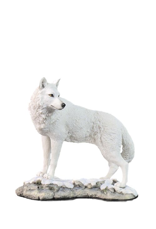 WHITE WOLF ON SNOWY GROUND LOOKING BACK: White Wolf On Snowy Ground Looking Back - Material - Poly Stone - Size - (l) 9 1/2