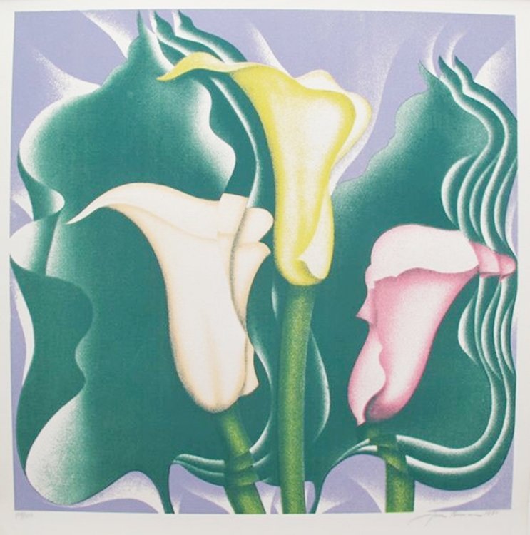 JACK BRUSCA "CALLA LILY" HAND SIGNED LIMITED ED.: You Will Be Bidding On A Hand Signed Serigraph By Jack Brusca Titled "calla Lily". Published In 1978, Copyrighted By Herman Finesod. Beautiful Art Piece On Bfk Rives Paper. Paper Measures: 26" X 25.5"
