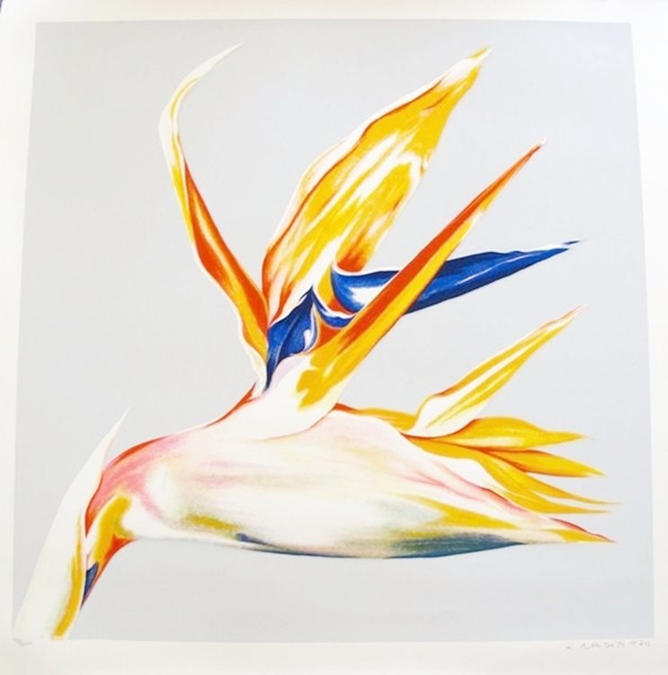 LOWELL NESBITT BIRD OF PARADISE LIMITED ED. HAND SIGNED: This Is A Large Hand Signed Lithograph By Lowell Nesbitt Titled "bird Of Paradise". Printed In 1979. This Piece Is Hand Signed By The Artist And Numbered From A Limited Edition Of 200. Sheet Size: 35"