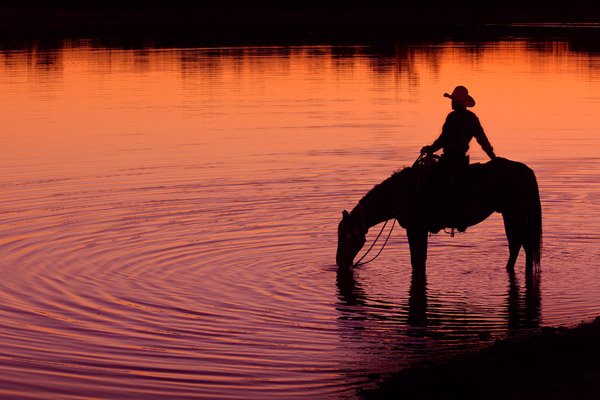 Texas Sunset by Robert Dawson: Texas Sunset by Robert Dawson - Edition Size: Open - Open Giclee Poster Dimensions: 24 x 36 Release Date: 3-2012 ……….Robert Dawson's romance with the west started as a young boy growing up in Te