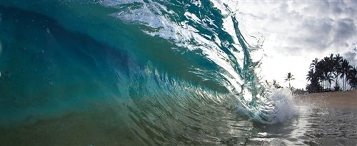 SEAN DAVEY - GREEN CURL BY SEAN DAVEY: Sean Davey Is A Professional Photographer. Giclee On Canvas - 8x24