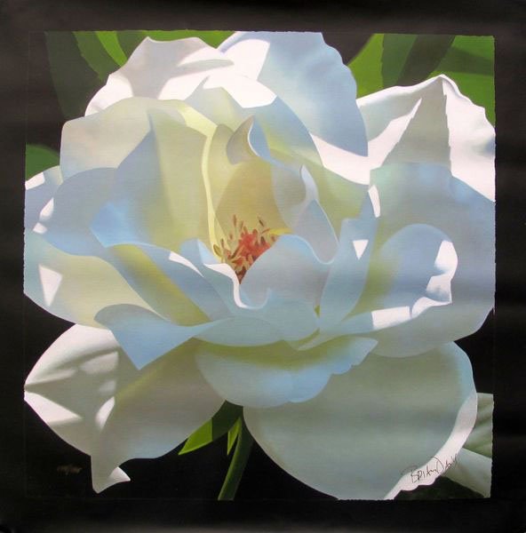 BRIAN DAVIS "PALE YELLOW BEAUTY" HAND SIGNED LIMITED: This Is A Limited Edition Hand Signed Giclee By Brian Davis Titled "pale Yellow Beauty". Hand Signed And Numbered By The Artist Giclee On Canvas. This Piece Is Numbered From An Edition Of 195. Image S