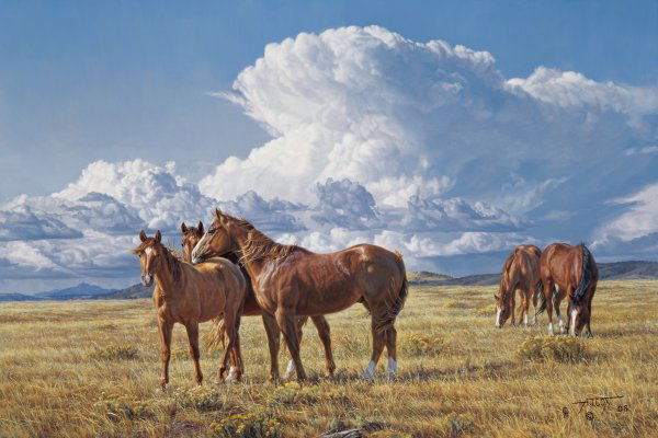 Summer Breezes by Tim Cox: Summer Breezes by Tim Cox - Edition Size: 150 - Giclee on Canvas - Signed & Numbered Dimensions: 24 x 36 Release Date: 4-2010 ……….As a young child, Tim Cox vowed he “was going to be a cowboy a