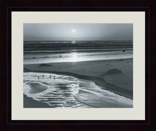 Ansel Adams - BIRDS ON A BEACH BY ANSEL ADAMS.: Birds on the Beach by Ansel Adams. This popular photo will feature two decorative mats and black frame. Made in USA - 16x20