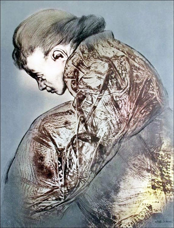 RAFAEL CORONEL 1978 PLATE SIGNED PORTFOLIO LITHOGRAPH: This Is A Lithograph By Famed Mexican Artist Rafael Coronel From His Portfolio. Published In 1978, This Is Portfolio Subject #19 From A 20 Piece Portfolio Collection. Beautiful Art Piece With Gorgeous